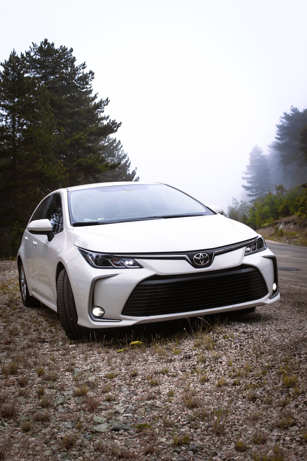 Toyota Corolla Icon